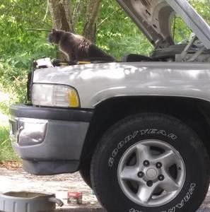 Meet your Posher, Alan